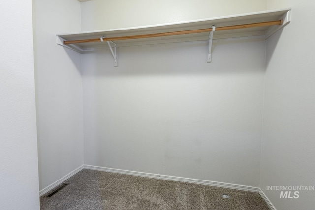 9885 W Tilmont St, Boise, ID 83709 - spacious closet featuring carpet