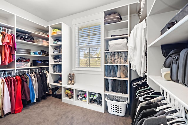 17293 Goodson Rd, Caldwell, ID 83607 - walk in closet with carpet flooring