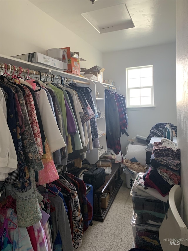 spacious closet with carpet flooring