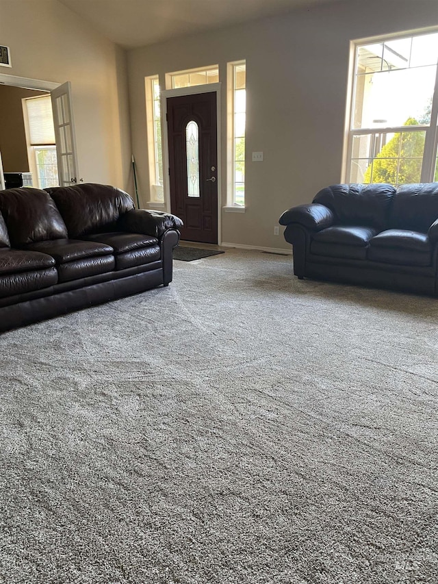 living room with carpet floors