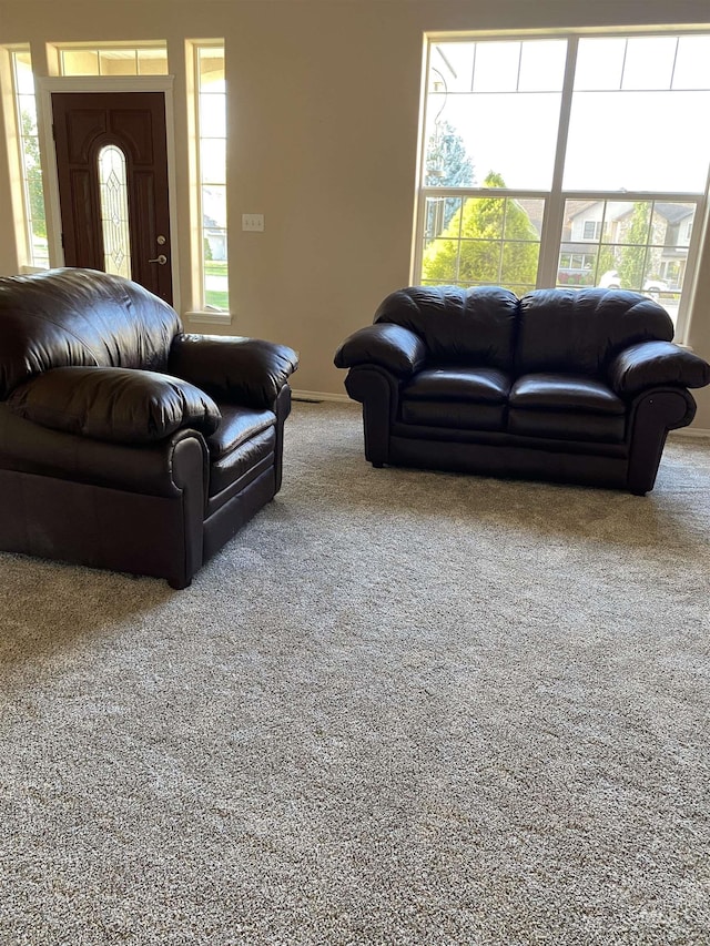 view of carpeted living room