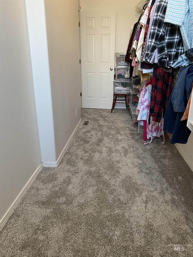 spacious closet featuring carpet flooring