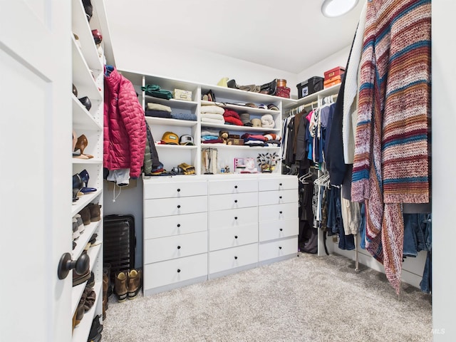 515 School St, Albion, ID 83311 - spacious closet with carpet floors
