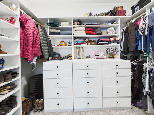 515 School St, Albion, ID 83311 - view of walk in closet