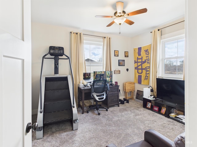 515 School St, Albion, ID 83311 - office with plenty of natural light, carpet floors, and a ceiling fan