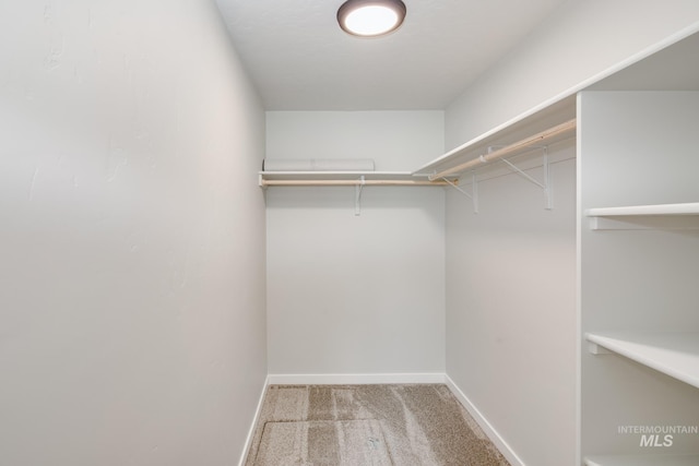 walk in closet featuring light colored carpet