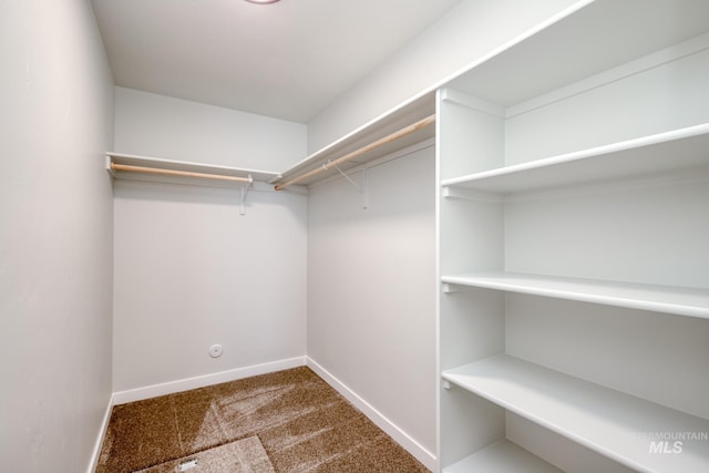 walk in closet with carpet flooring