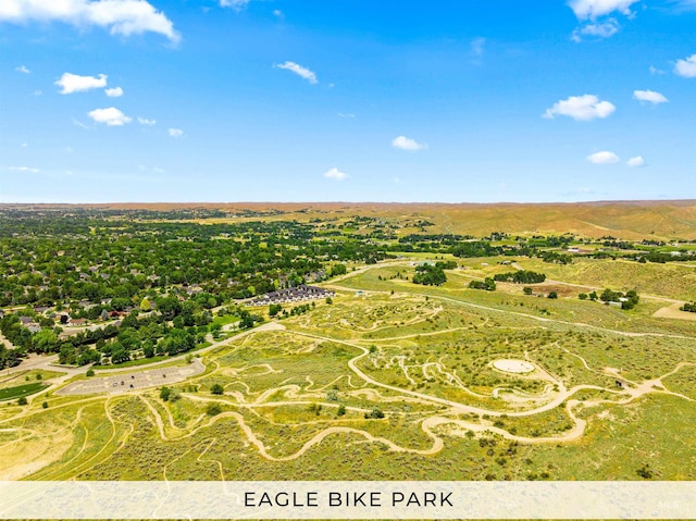 1472 N Watson Ave, Eagle, ID 83616 - bird's eye view
