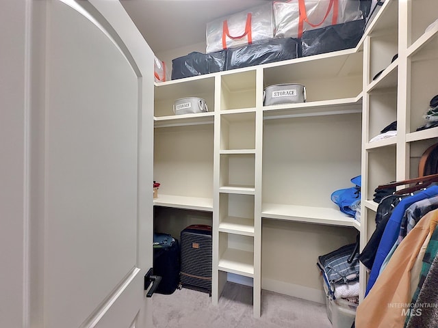 walk in closet featuring carpet flooring