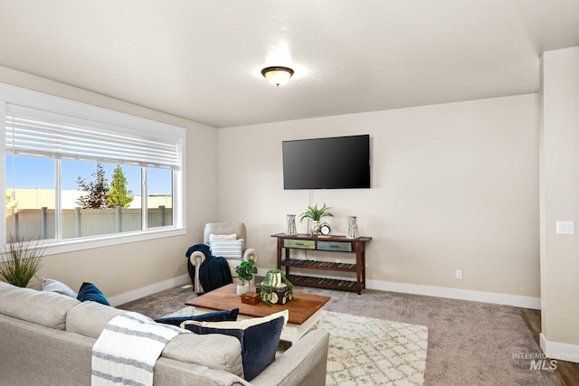 living room featuring carpet flooring