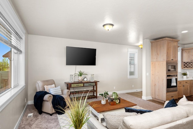 living room featuring light colored carpet and a healthy amount of sunlight