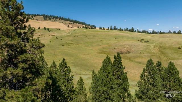 TBDPARCEL3 Lenville, Moscow ID, 83843 land for sale