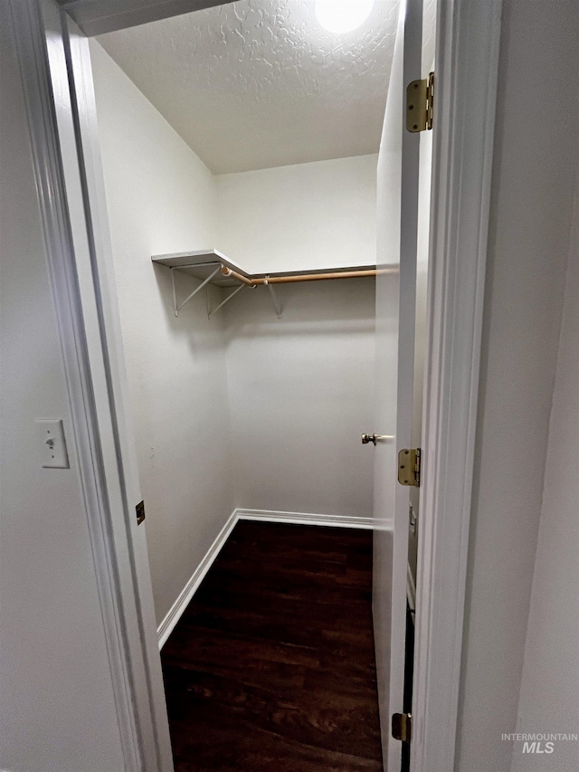 walk in closet with dark hardwood / wood-style flooring