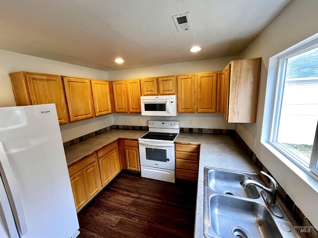 kitchen featuring a wealth of natural light, sink, dark wood-type flooring, and white appliances