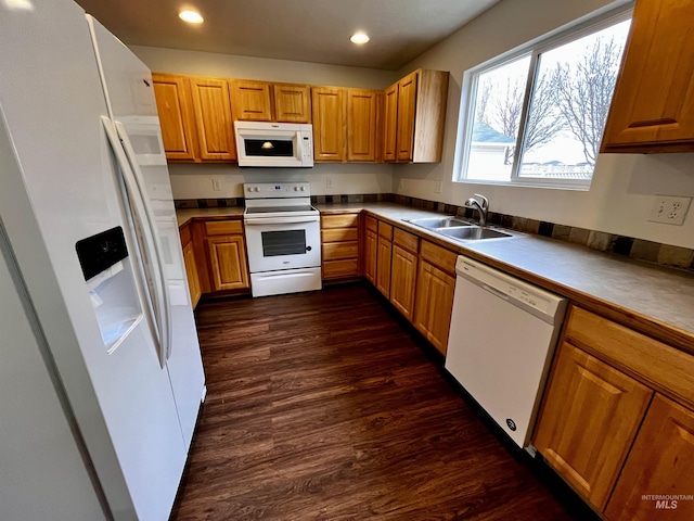 kitchen featuring white appliances, dark hardwood / wood-style flooring, and sink