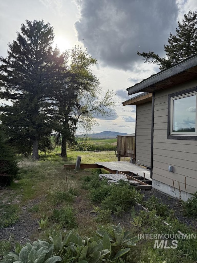 view of yard featuring a deck