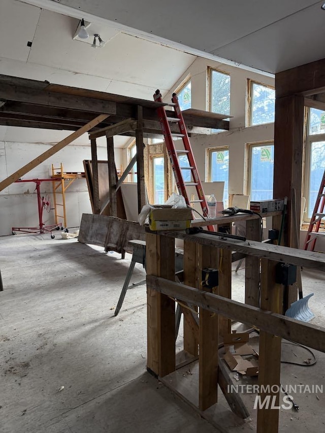 miscellaneous room with vaulted ceiling