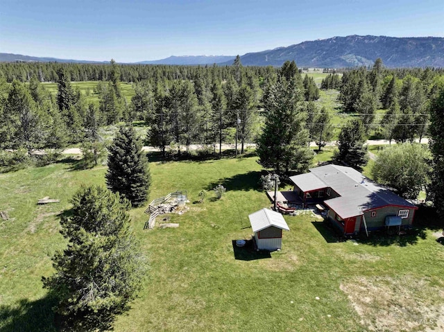 22 Flemming Ln, Mccall, ID 83638 - view of subject property featuring a mountainous background and a forest