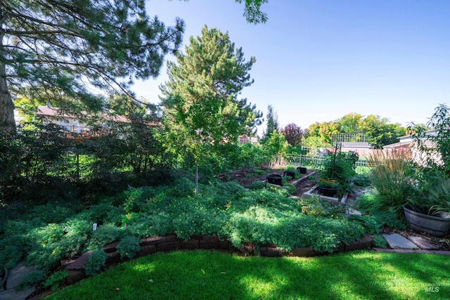 506 Fair Ln, Nampa, ID 83686 - view of yard featuring a garden and fence