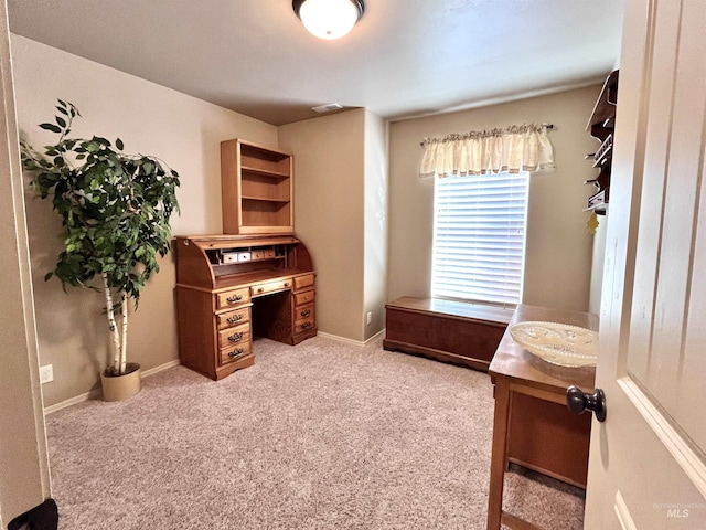 view of carpeted office space