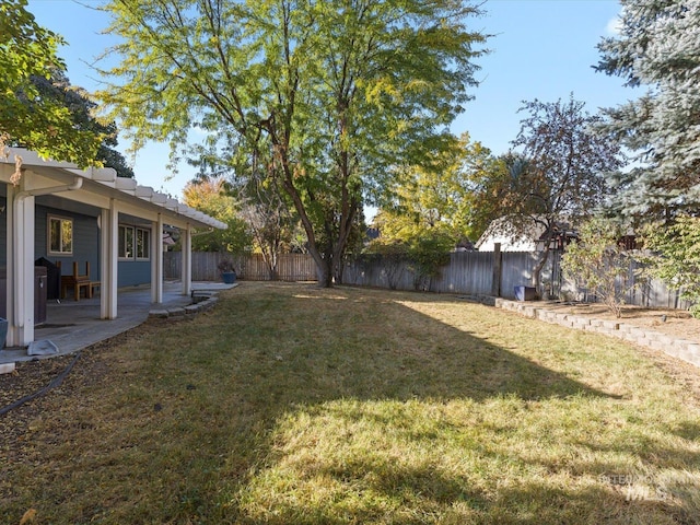 view of yard featuring a patio area