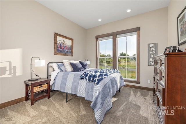 3800 Birch Ln, Emmett, ID 83617 - bedroom featuring baseboards, carpet flooring, and recessed lighting