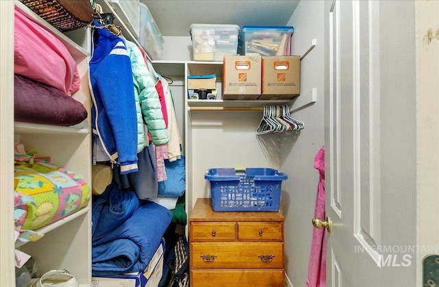 view of walk in closet