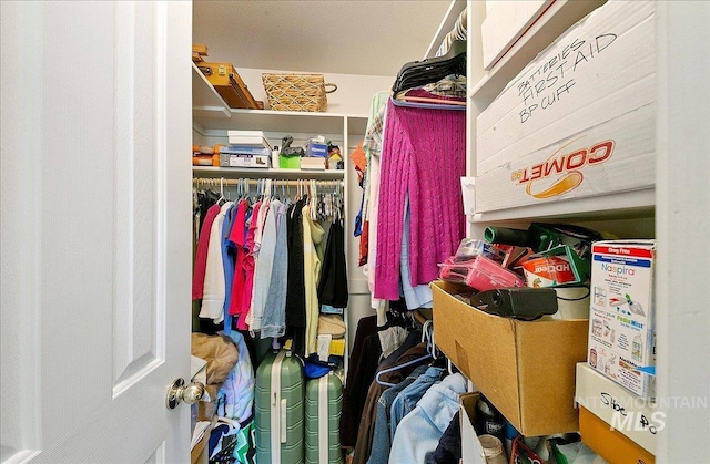 view of spacious closet