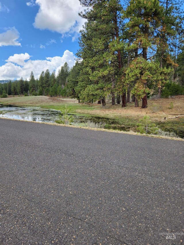 18 Arrowgrass Ct, Mccall, ID 83638