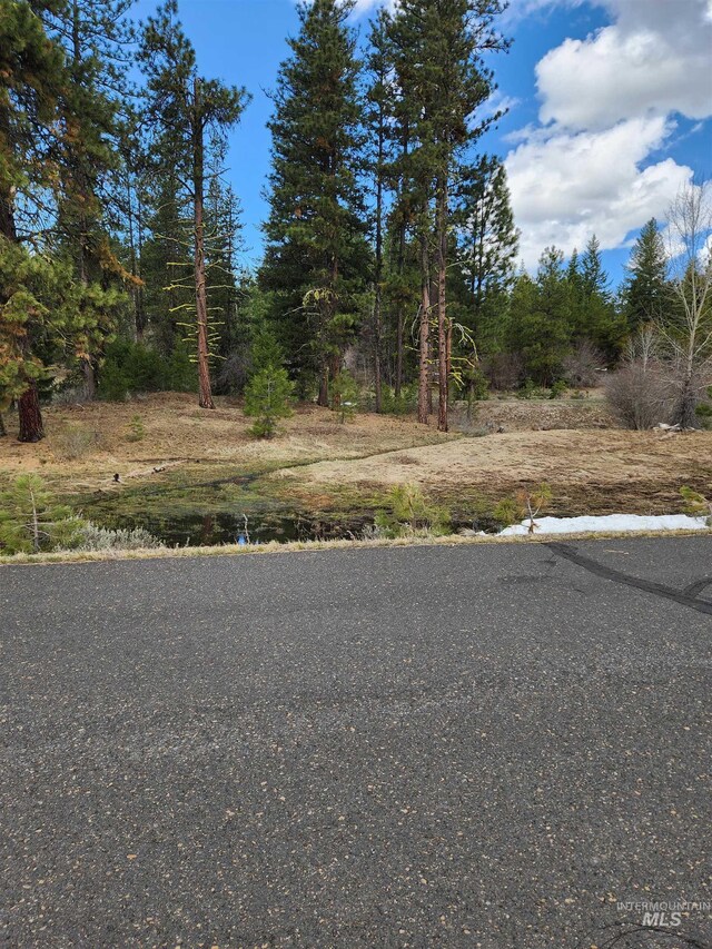 18 Arrowgrass Ct, Mccall, ID 83638
