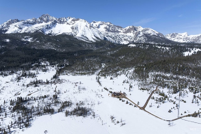 mountain view