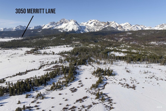 view of mountain feature