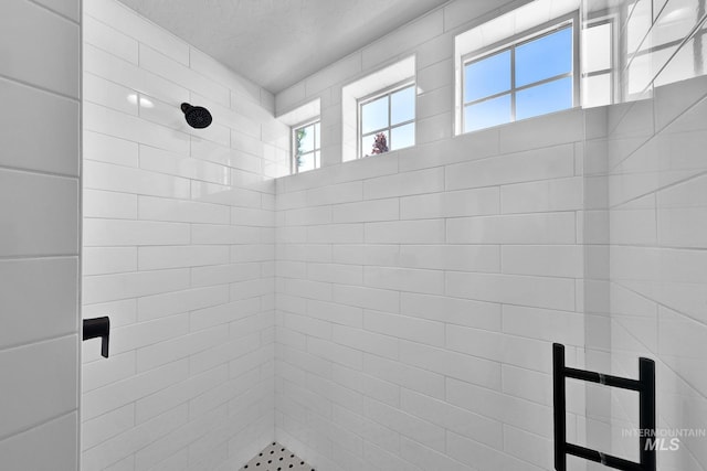 bathroom featuring healthy amount of natural light and a shower stall