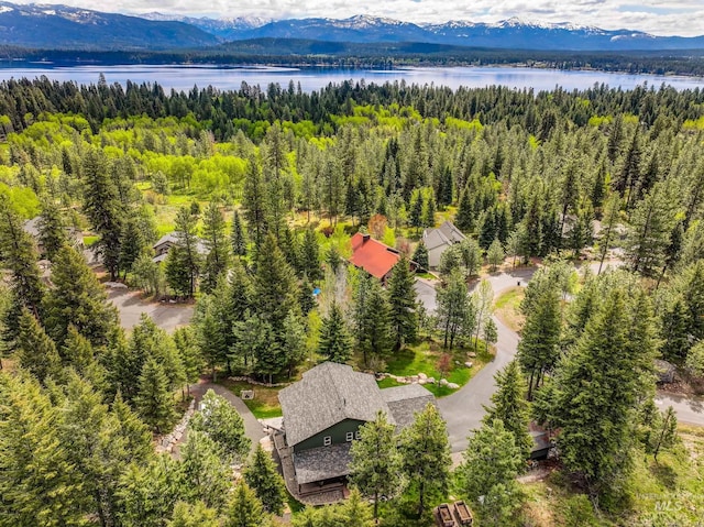1611 Woodhaven Ln, Mccall, ID 83638 - bird's eye view of a water and mountain view and a forest