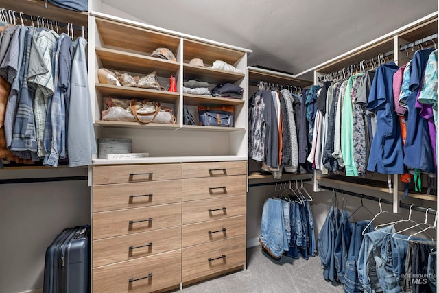 1611 Woodhaven Ln, Mccall, ID 83638 - walk in closet featuring carpet floors