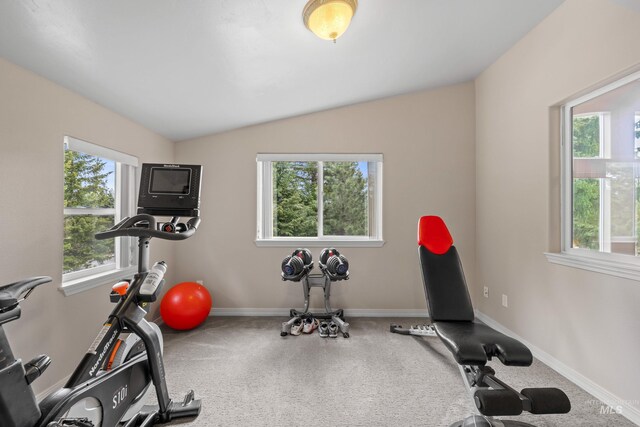 1611 Woodhaven Ln, Mccall, ID 83638 - exercise room with lofted ceiling and baseboards