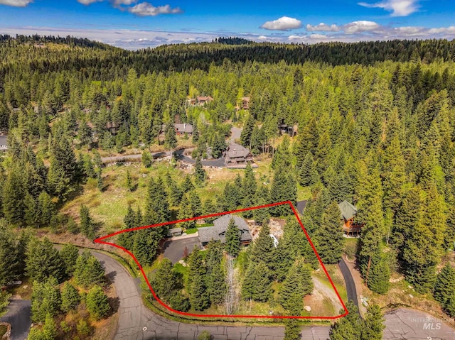 1611 Woodhaven Ln, Mccall, ID 83638 - view of property location featuring a forest and property parcel outlined