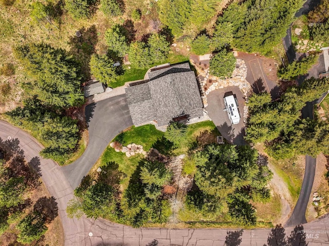 1611 Woodhaven Ln, Mccall, ID 83638 - aerial view