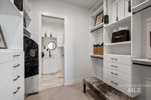461 Centry Ave, Middleton, ID 83644 - spacious closet featuring light carpet and a sink