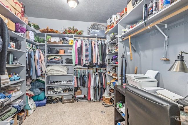 spacious closet featuring carpet