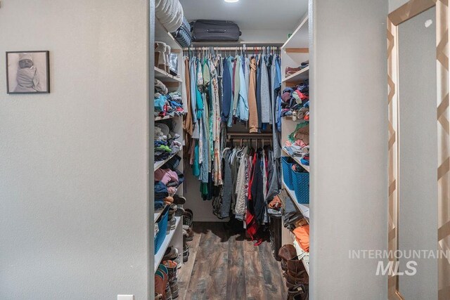 walk in closet featuring wood finished floors