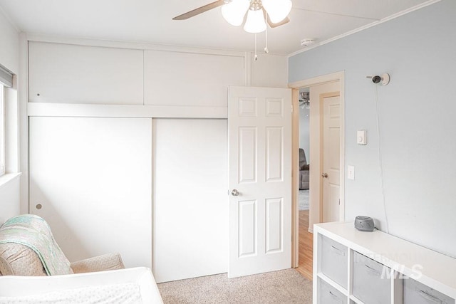 bedroom with a closet, light colored carpet, a ceiling fan, and ornamental molding