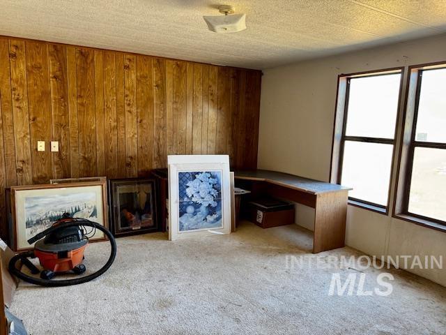 unfurnished living room featuring wooden walls and carpet flooring