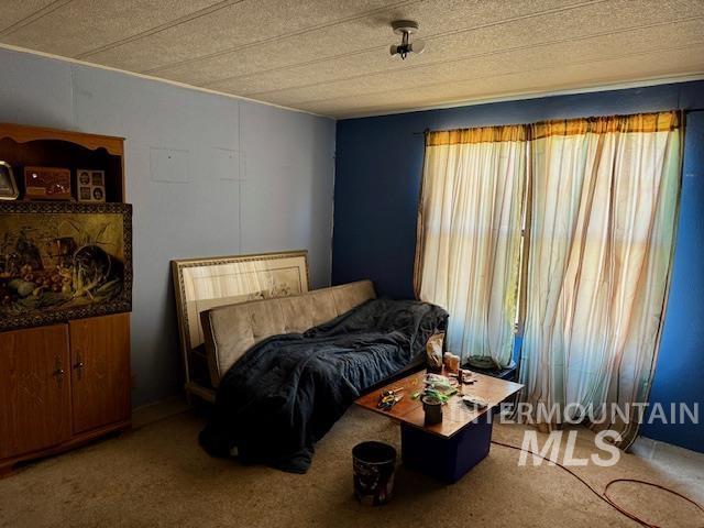 bedroom with carpet flooring and a textured ceiling