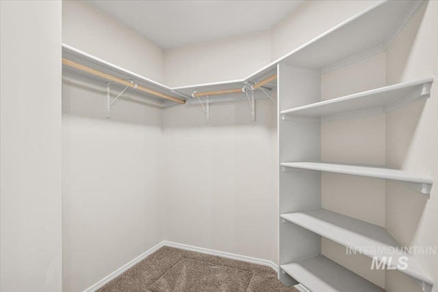 11177 Champlain Pl Unit 9, Caldwell, ID 83605 - spacious closet featuring carpet flooring