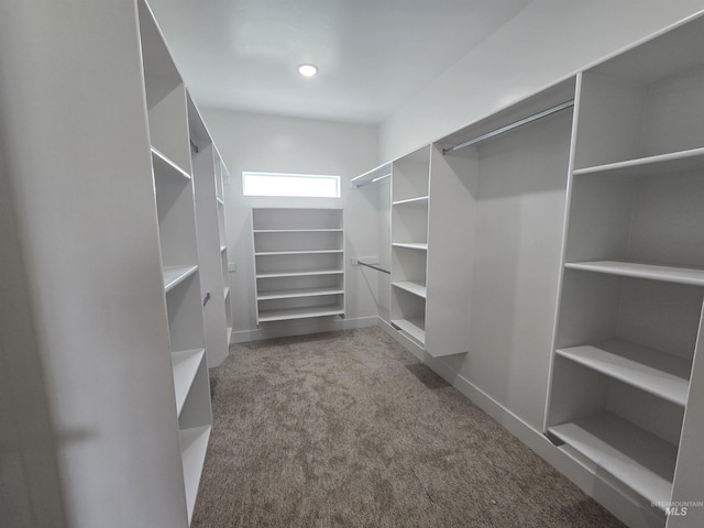 563 Full Moon Way, Twin Falls, ID 83301 - spacious closet with carpet flooring
