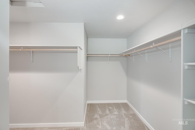 spacious closet with light colored carpet