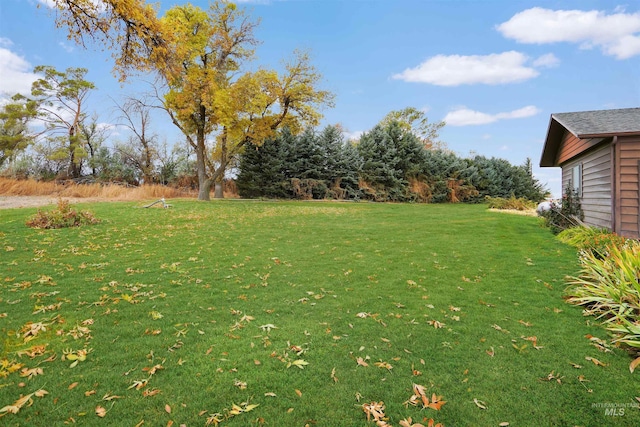 425 W 700 N, Paul, ID 83347 - view of green lawn