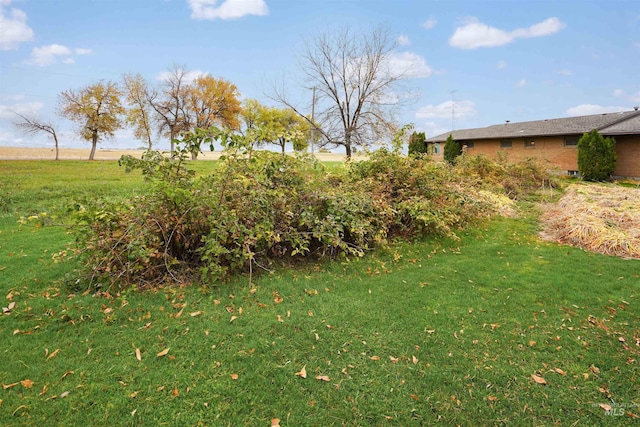 425 W 700 N, Paul, ID 83347 - view of grassy yard