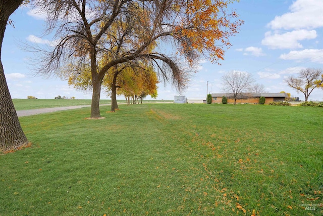 425 W 700 N, Paul, ID 83347 - view of grassy yard